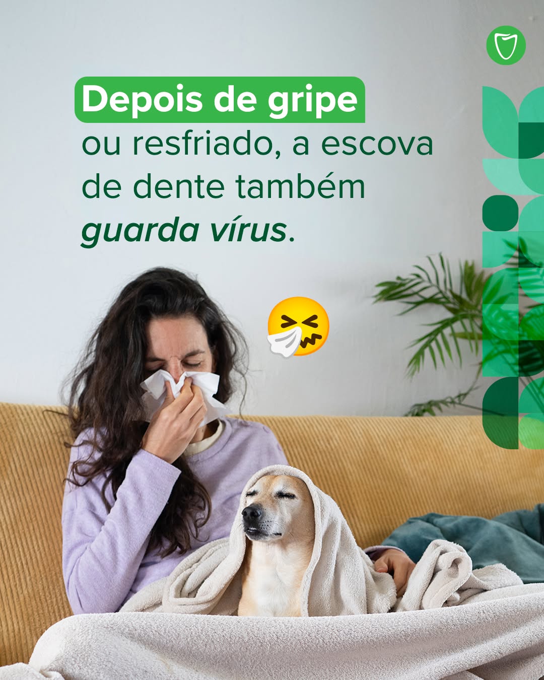 Post de OdontoCompany