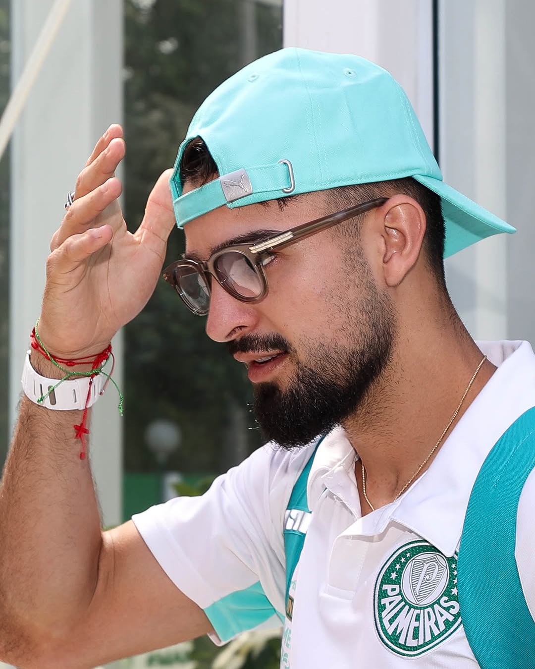 Post de Palmeiras
