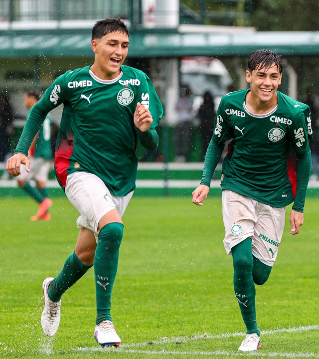 Post de Palmeiras