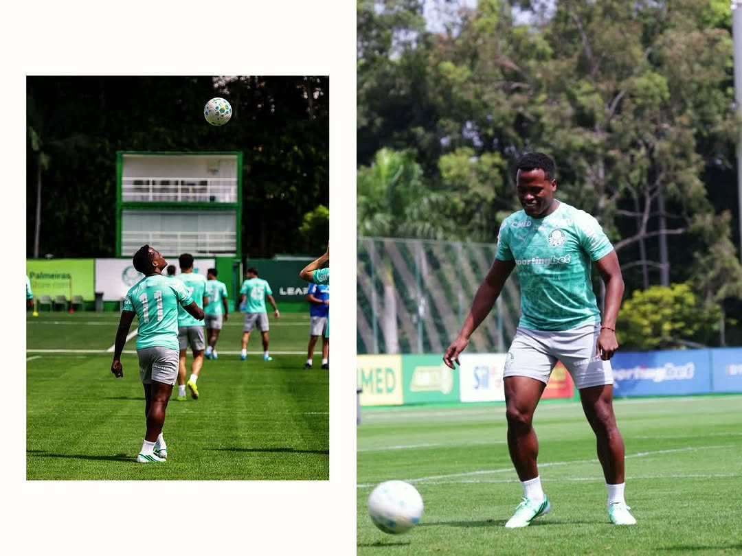 Post de Palmeiras