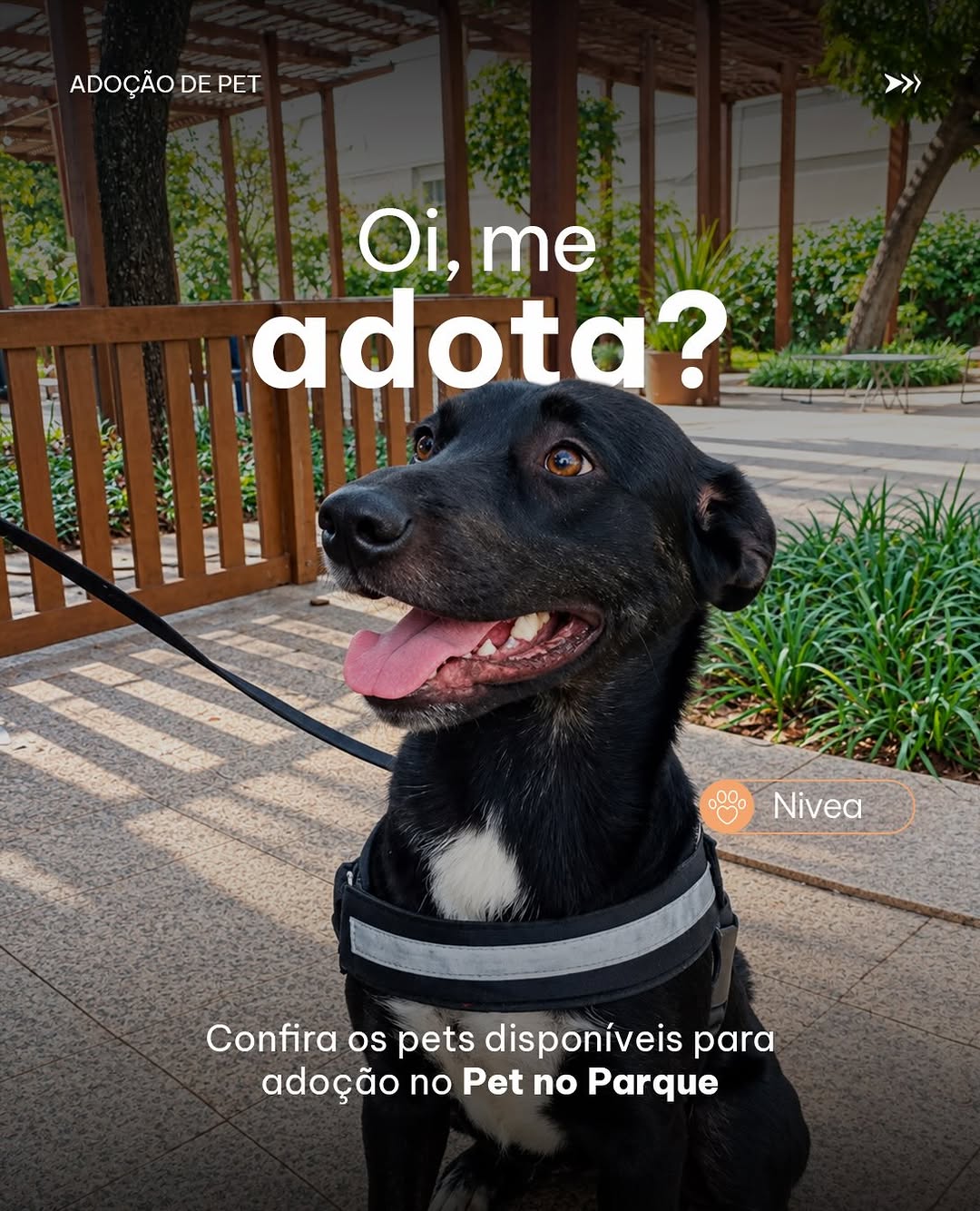 Post de Parque Dom Pedro Shopping