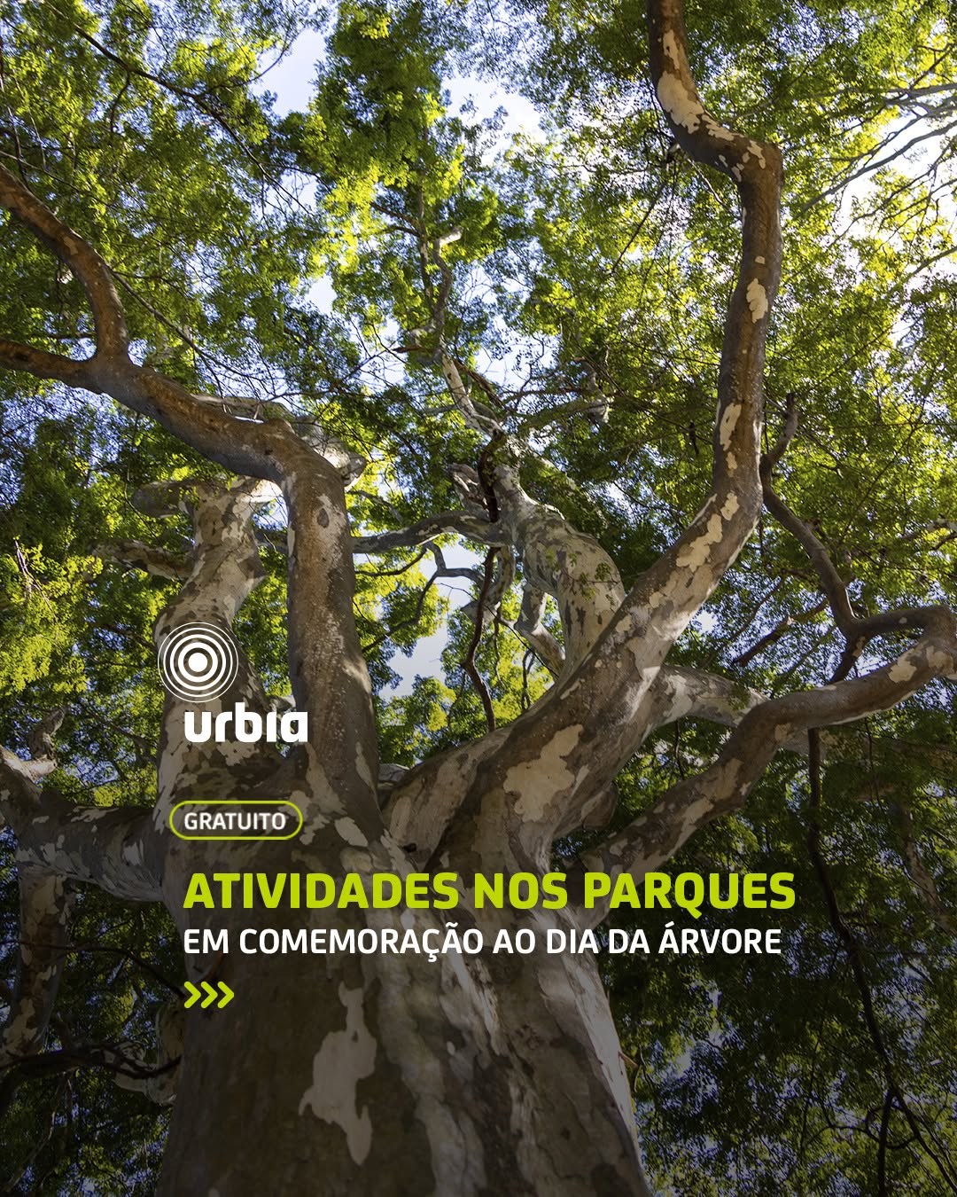 Post de Parque ibirapuera