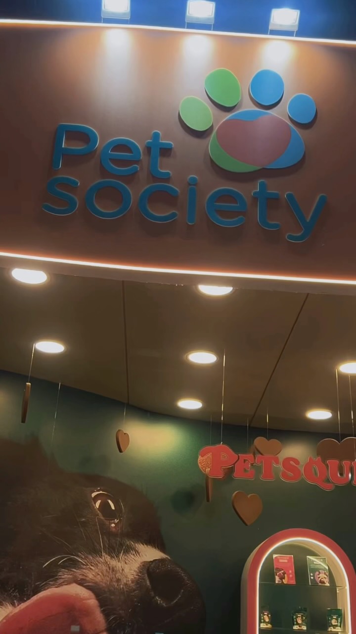 Post de Pet Society