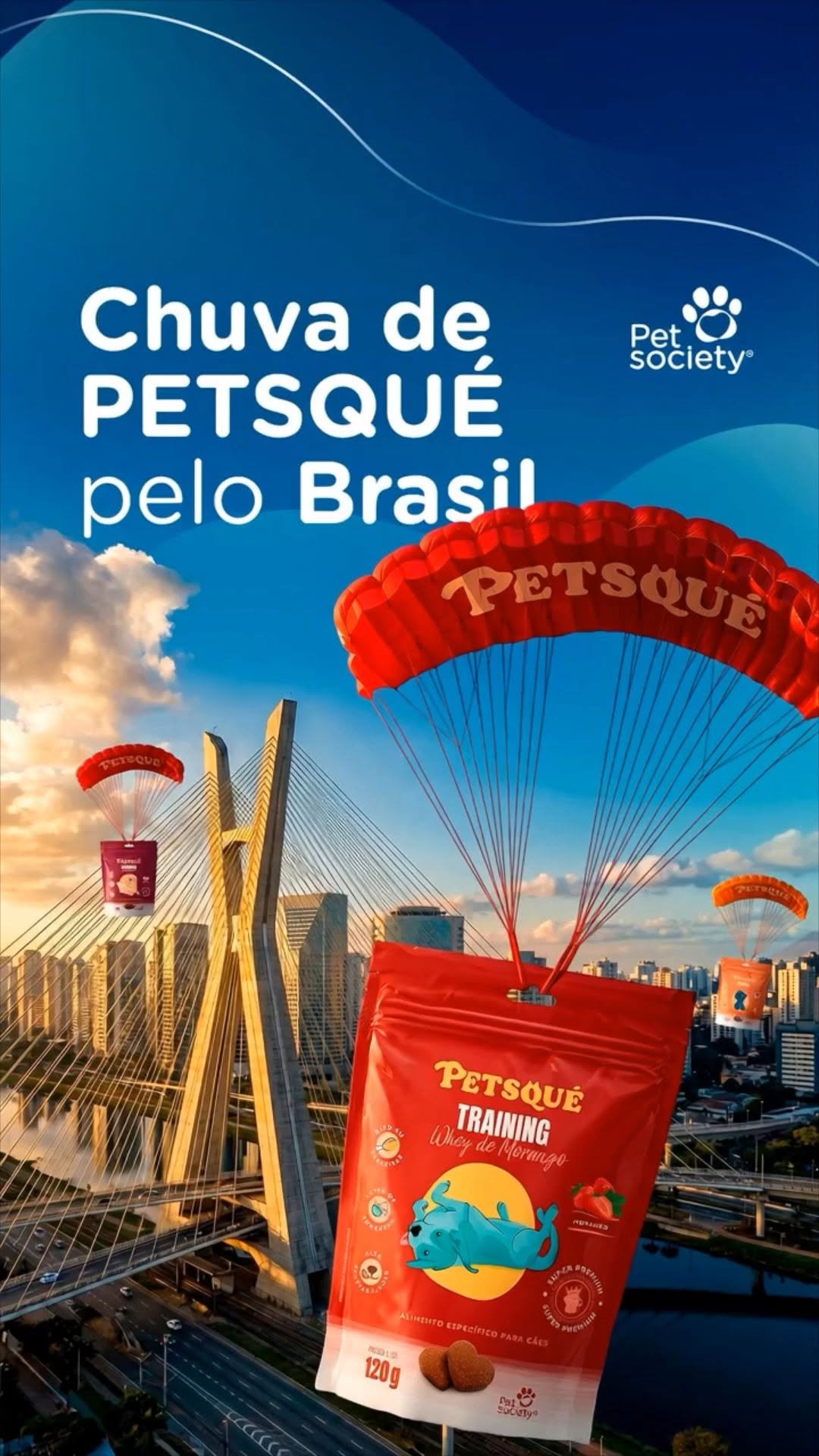Post de Pet Society