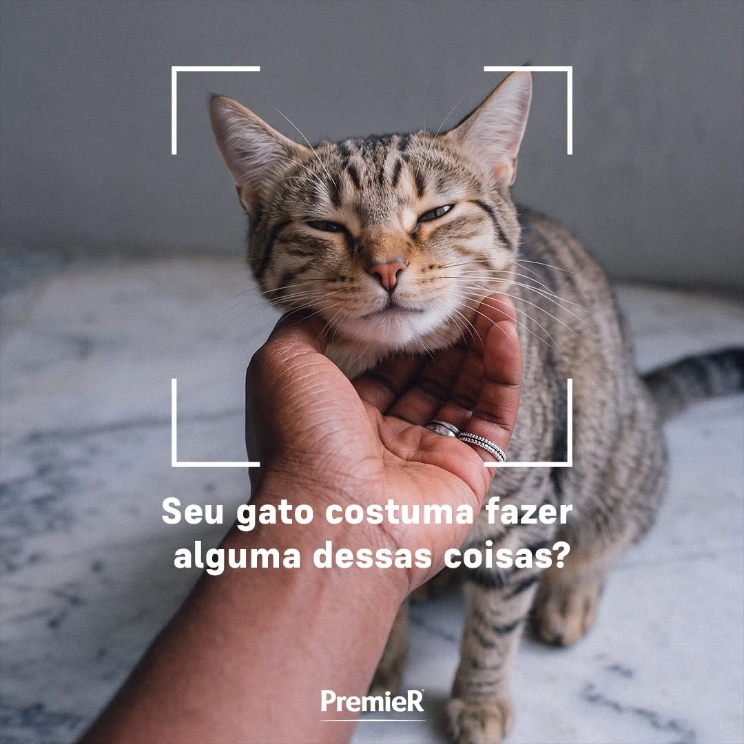 Post de PremieRpet