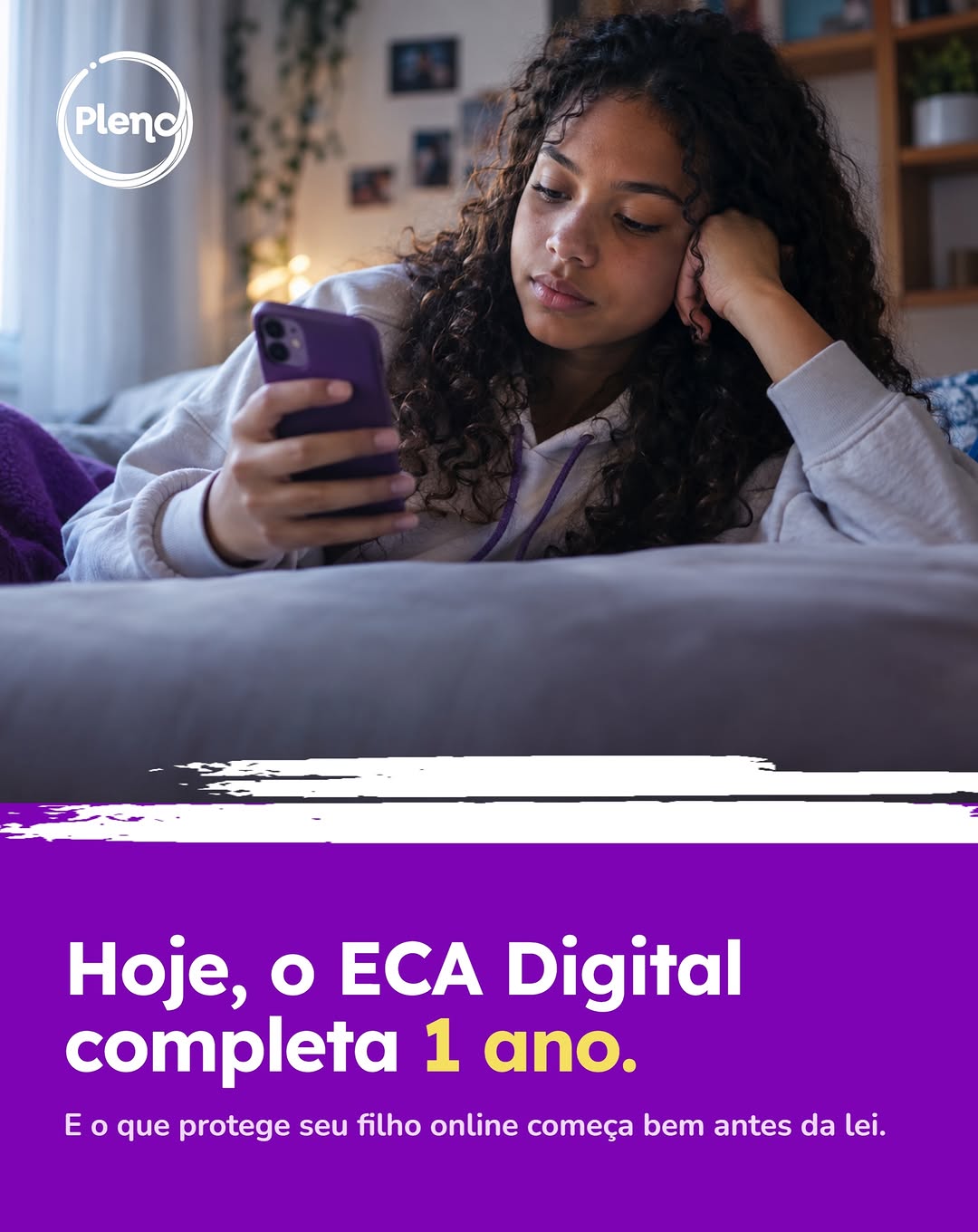 Post de Programa Pleno