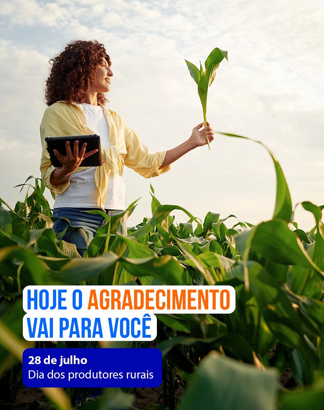Post de Rabobank Brasil