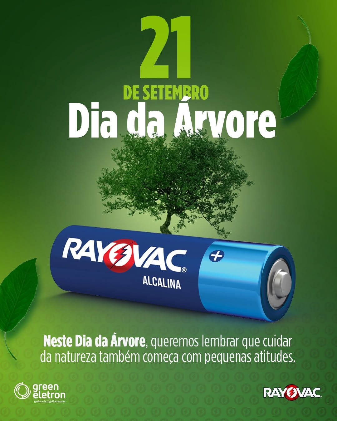 Post de Rayovac