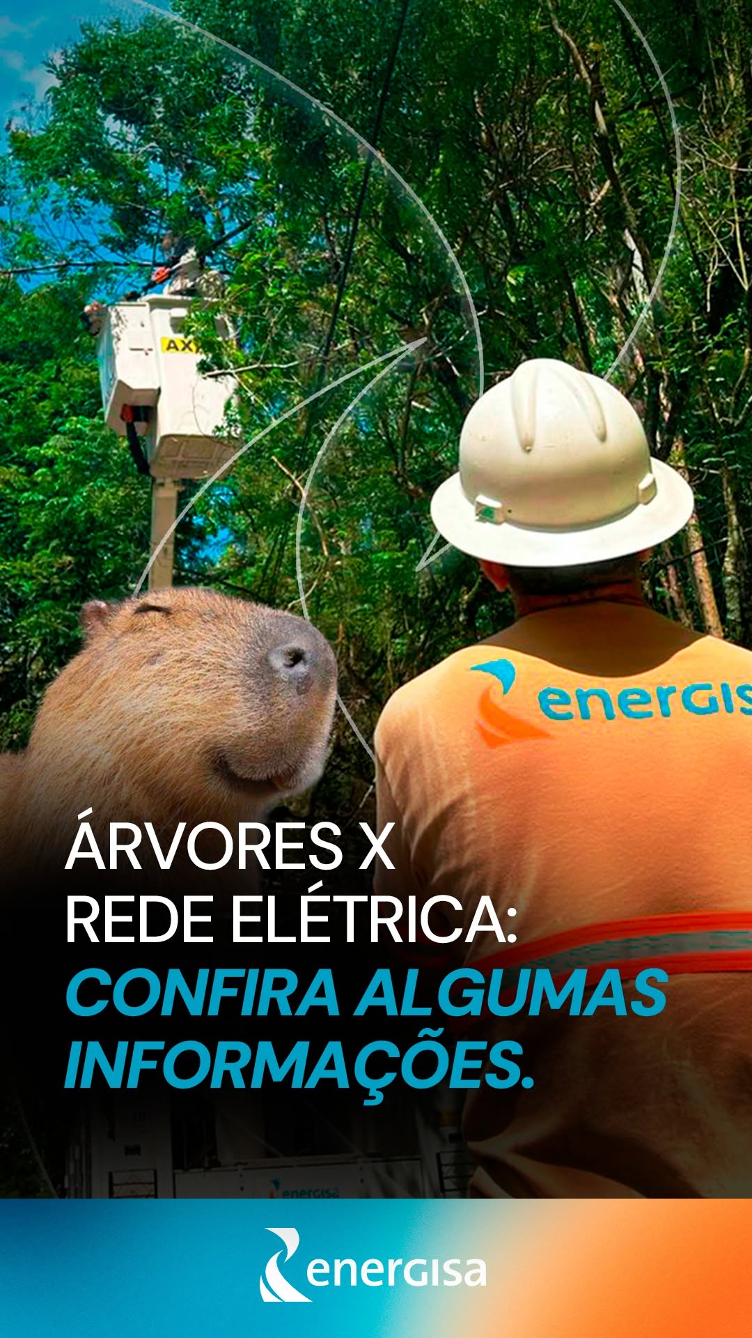 Post de (re)energisa