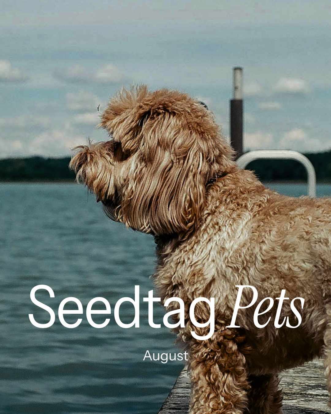 Post de Seedtag