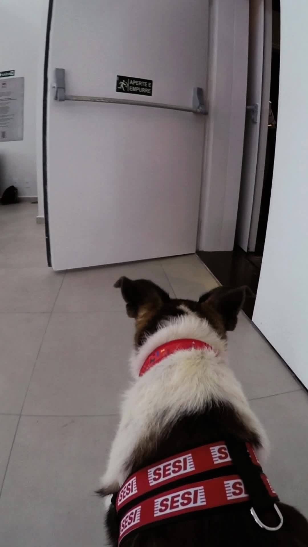Post de Sesi São Paulo