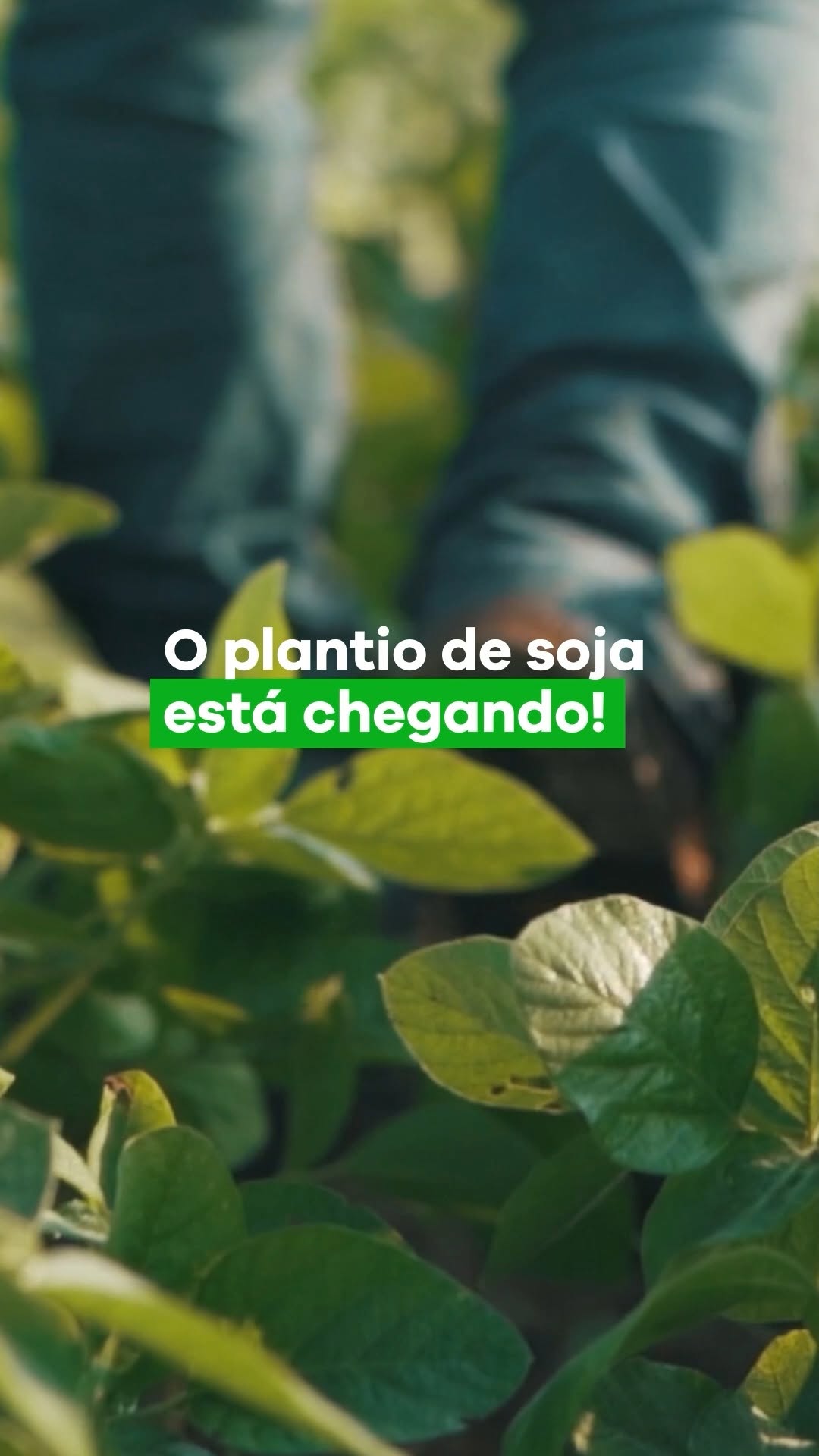 Post de Sinova (Ex-Bunge)