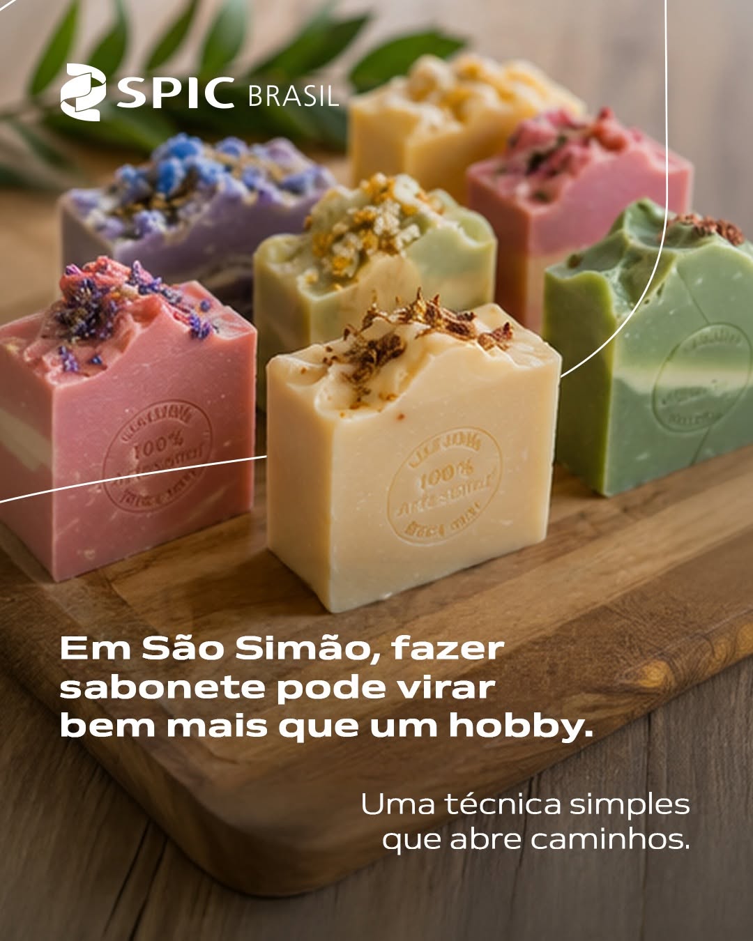 Post de Spicbrasil