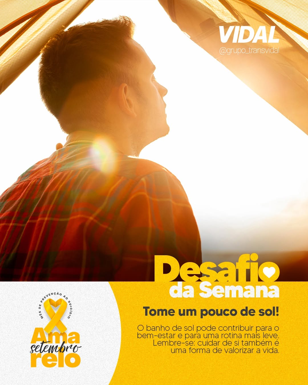 Post de Transvidal