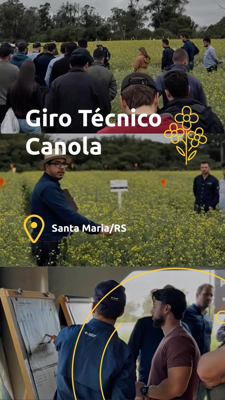 Post de Três Tentos