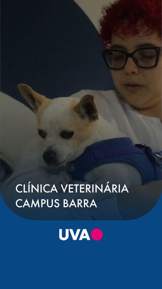 Post de Universidade Veiga de Almeida