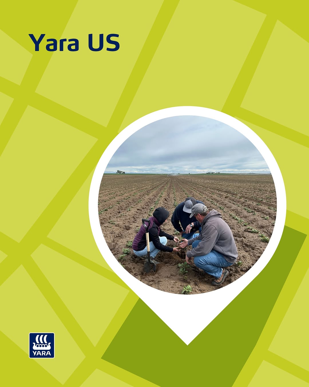 Post de Yara Brasil