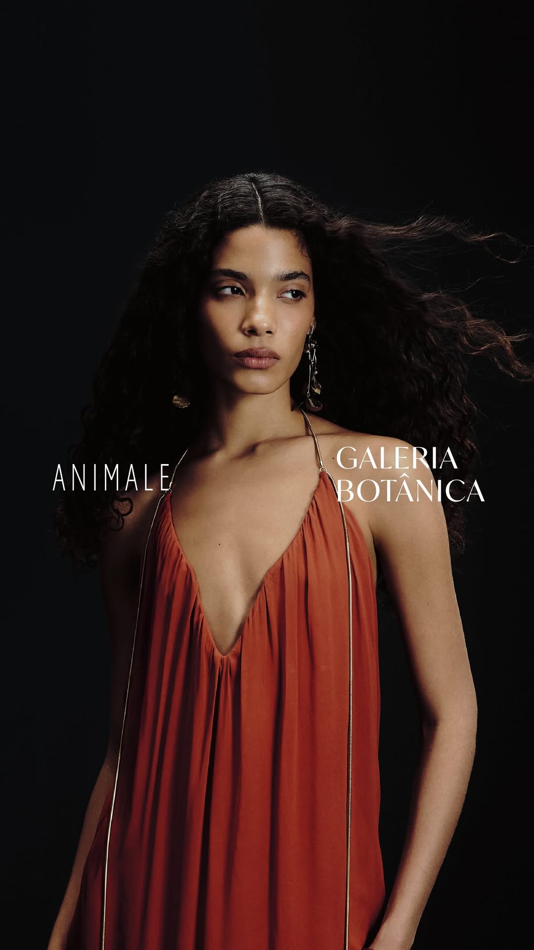 Post de Animale