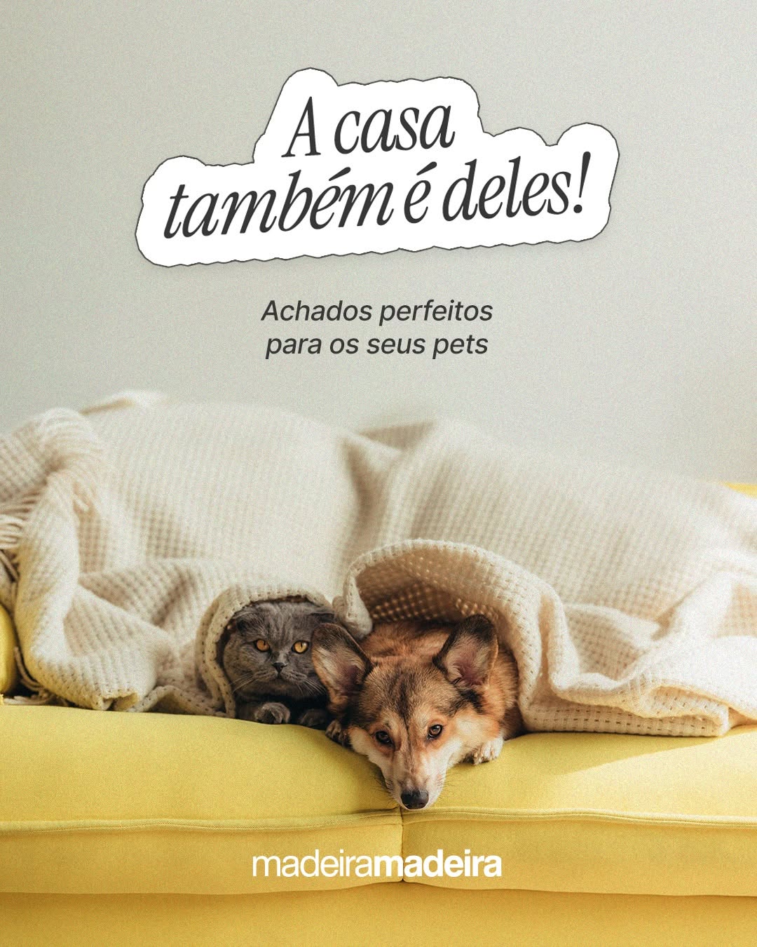 Post de MadeiraMadeira