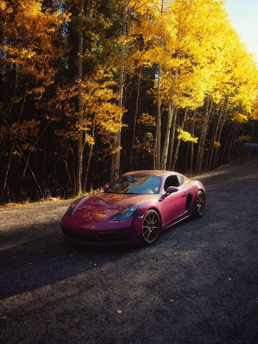 Post de Porsche Brasil