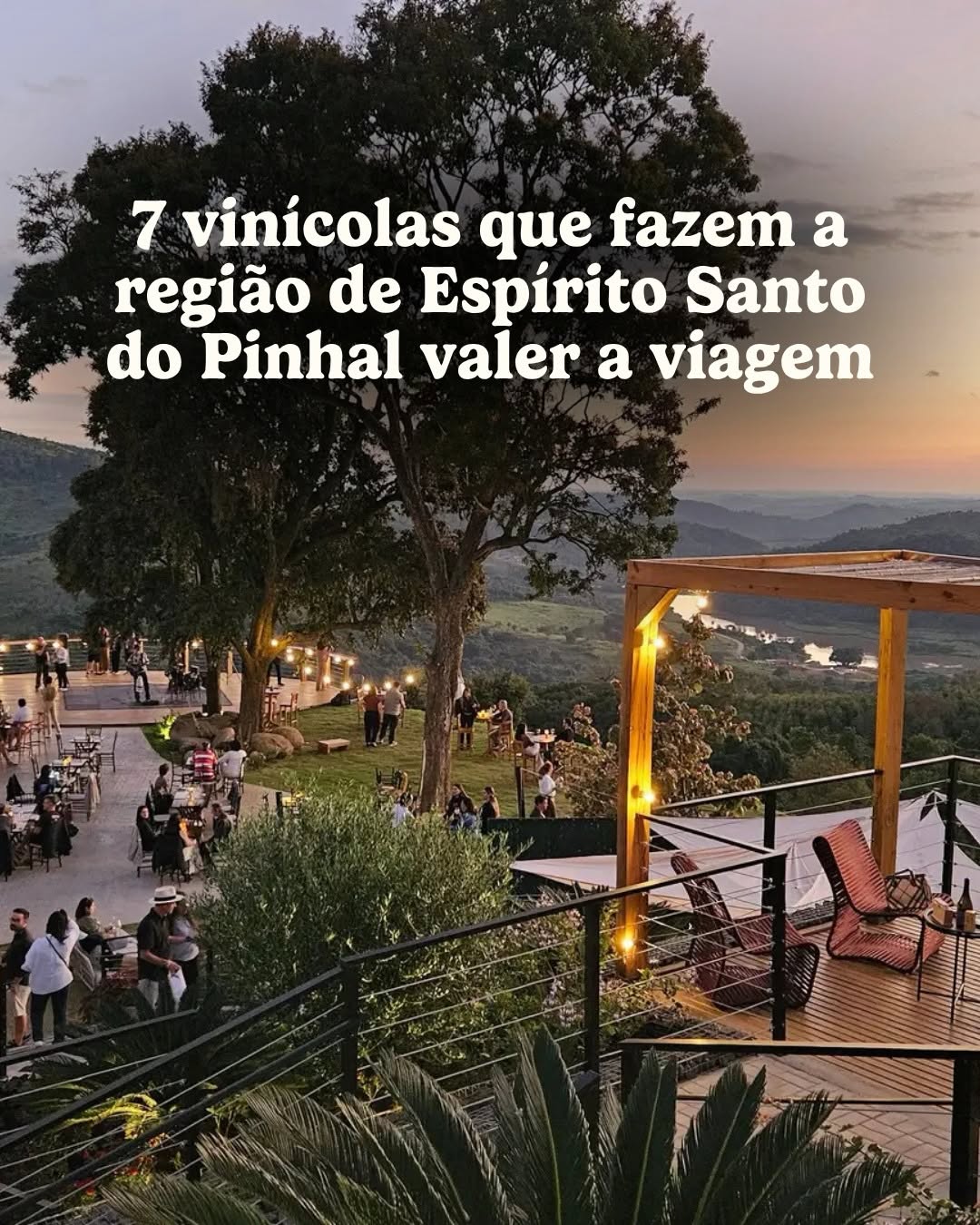 Post de Wine Locals