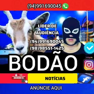 Bodão Notícias