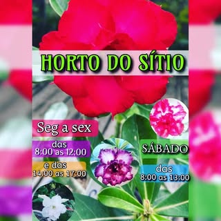 Horto do Sítio