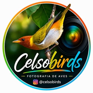 Celso Castro