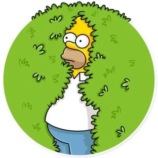Simpson Sincero