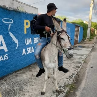 Juregmotoboy