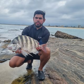 Sagrilo (Pesca Afiada)
