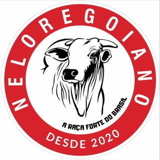 Nelore Goiano