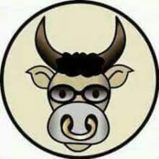 Zebu na Rede