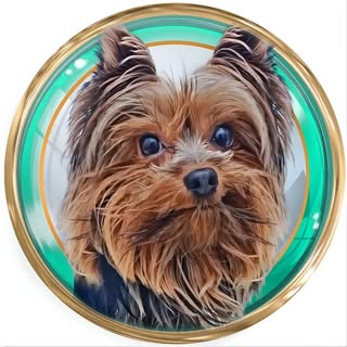 Doguinho Falante
