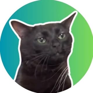 Gato Irônico