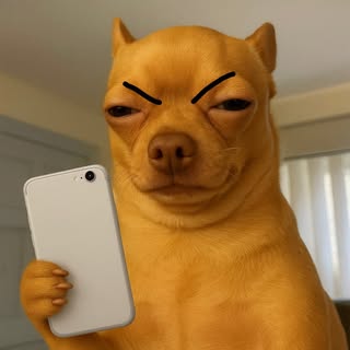 O Dezinho