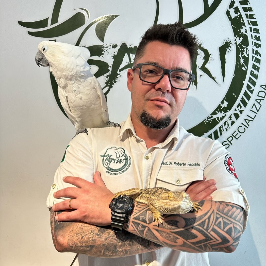 Roberto Silveira Fecchio