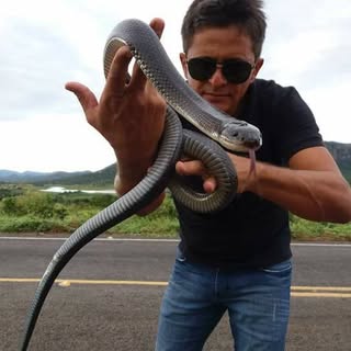 Jose Haroldo Gomes de Sa (Haroldo Bauer)
