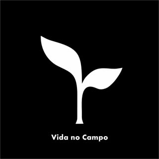 Mayk Alves Macedo