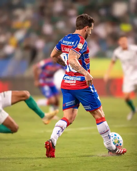 Post de Kelvinho Fotos (Ks) com Palmeiras
