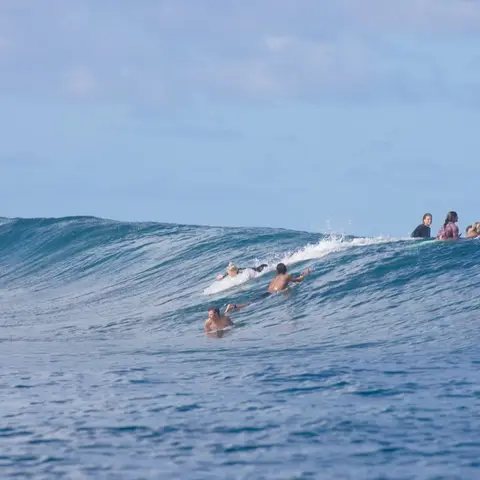 Post de Tatiana Weston-Webb com Banco do Brasil