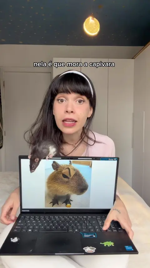Post de Natália Matias com Fundação SOS Mata Atlântica